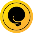 Squirrly Coupon Codes